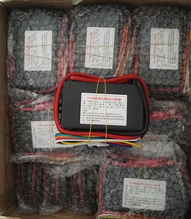 220VAC Programmed Oven Burner Electric Pulse Gas Igniter With Solenoid